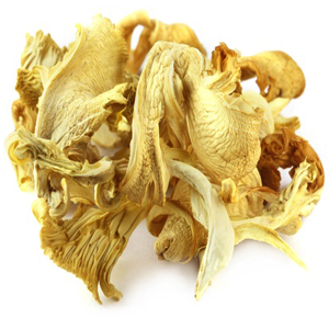 ড্রাই ওয়েস্টার মাশরুম